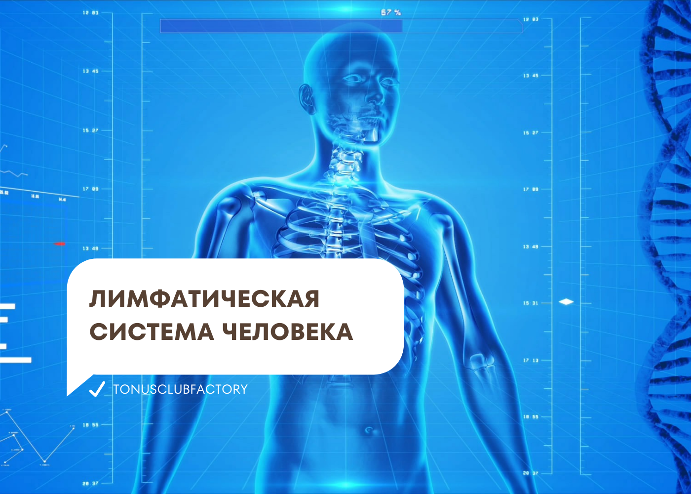 Что нужно знать об основных симптомах и лечении лимфаденита — клиника «Добробут»